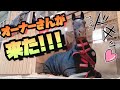 お休み中の馬…。突然、大好きな人が来た時の反応が可愛すぎました【ツルマルボーイ様のシモベ】