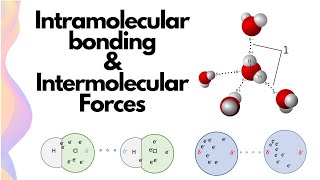 Intramolecular and Intermolecular Forces Explained // HSC Chemistry