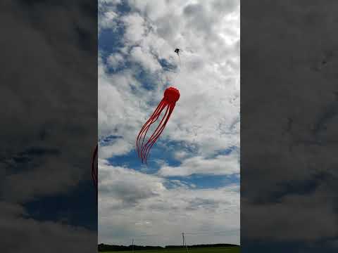 Воздушный змей призрак #Shorts