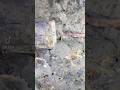 You won’t believe what he found! #shorts #shortsfeed #shortvideo