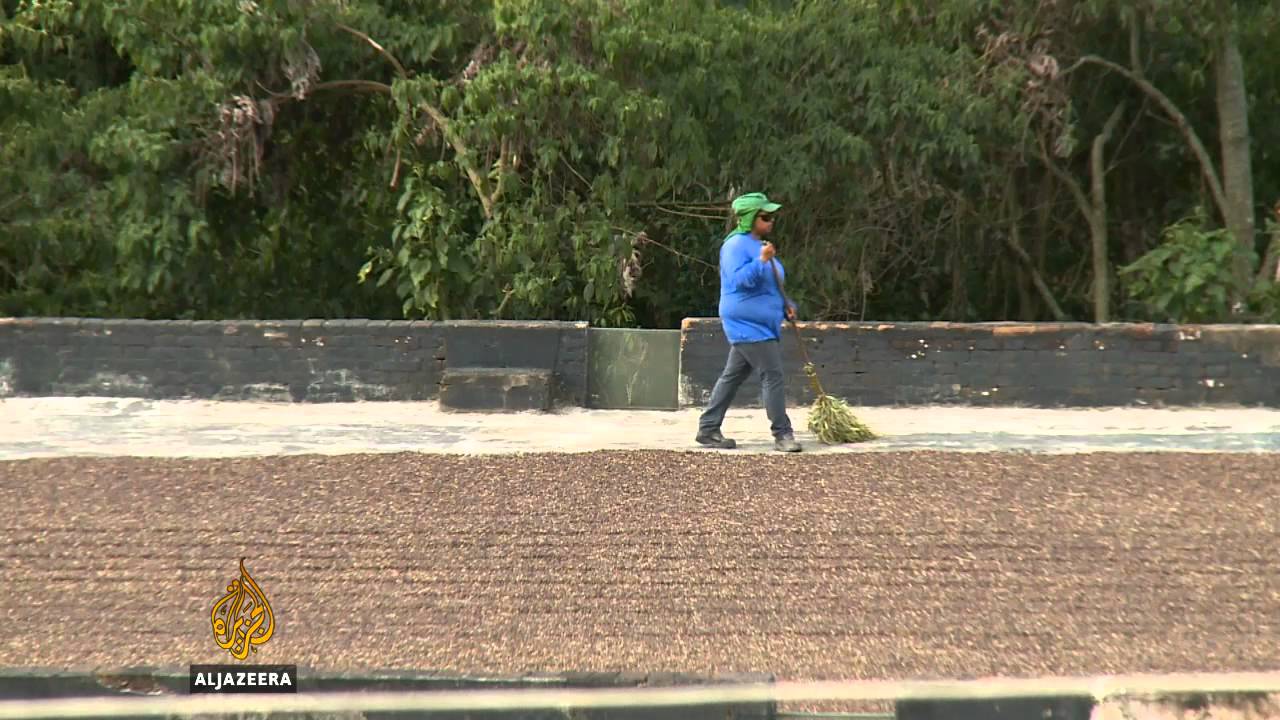 الجزيرة بيزنس – بوسا إيكونوميا