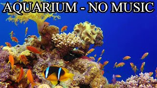 Coral Reef Tank Aquarium Sounds NO Music NO Ads - 12 Hours | Aquarium Sounds For Sleeping