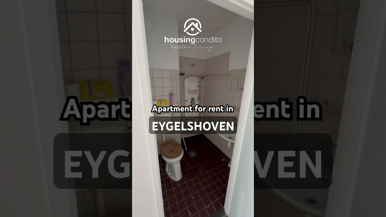 Fully Furnished Recently Renovated Equipped Kitchen 1 Bedroom Bathroom Near Transport Shop