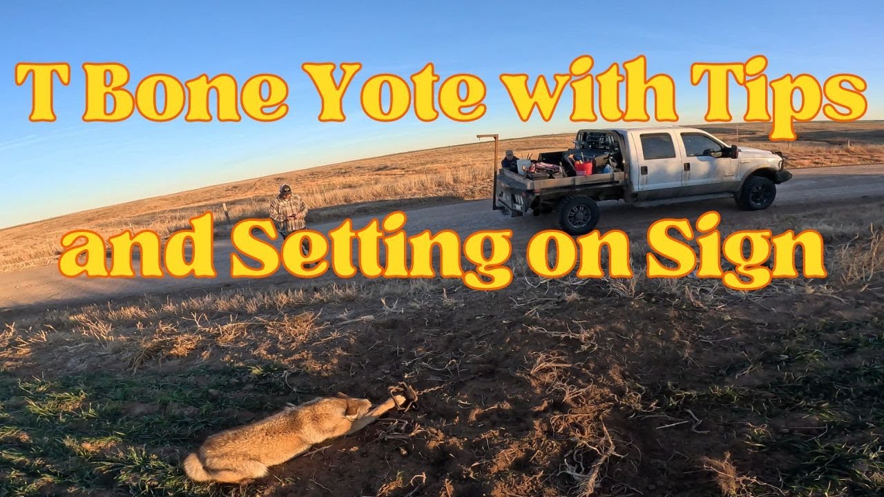 T Bone Catch Along With Tips And Sets