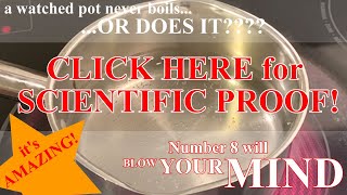 Boiling Water - Not boring at all, I promise!