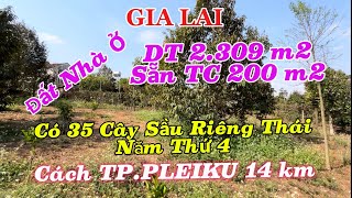 ( Gia Lai ) Đất Nhà Ở , DT 2.309 m2 Sẵn TC 200 m2 , Trên Đất Có 35 Cây Sầu Riêng Thái Năm Thứ 4