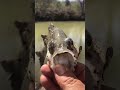 El red beard checando nuevos puntos de pesca
