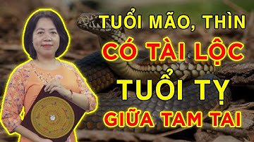 Tử Vi Hàng Ngày - Tử vi ngày 28/03: Tuổi Mão, Thìn có tài lộc, Tuổi Tị giữa Tam Tai
