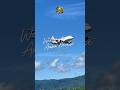 Welcome to Ambon Manise | Lagu Pop Ambon #shorts #ambon #maluku