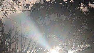 Sacred Fire, The Phoenix and the misguided Envy thrown at chosen ones🔥💗☀️#channeledmessages