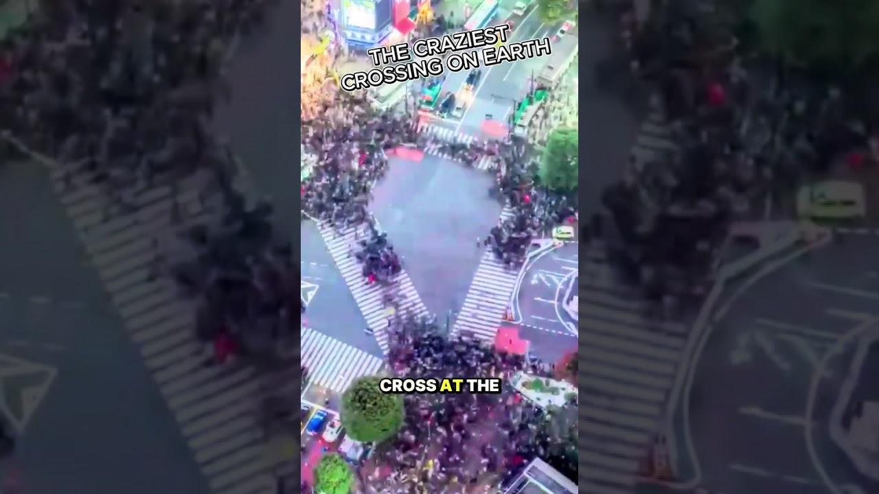 Самый оживлённый пешеходный переход в мире — это просто безумие 🚦 