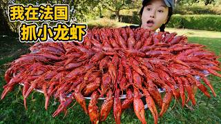 Catching Crayfish in France: Trapping 200 in One Haul to Make Spicy Crayfish for the Family! | #C...