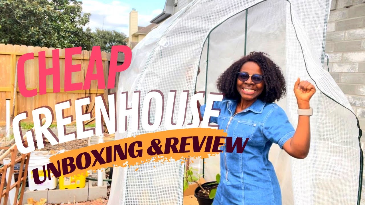 Unbelievable Amazon Greenhouse Setup FOR CHEAP Will It Be A Gardening