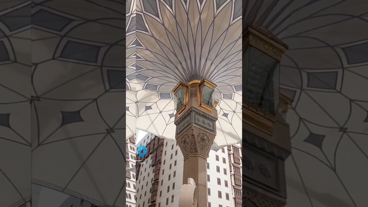 ✨P.A.R.A.D.I.S.E✨ 