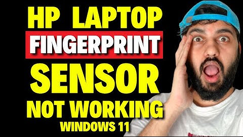 HP Fingerprint Sensor Not Working Windows 11