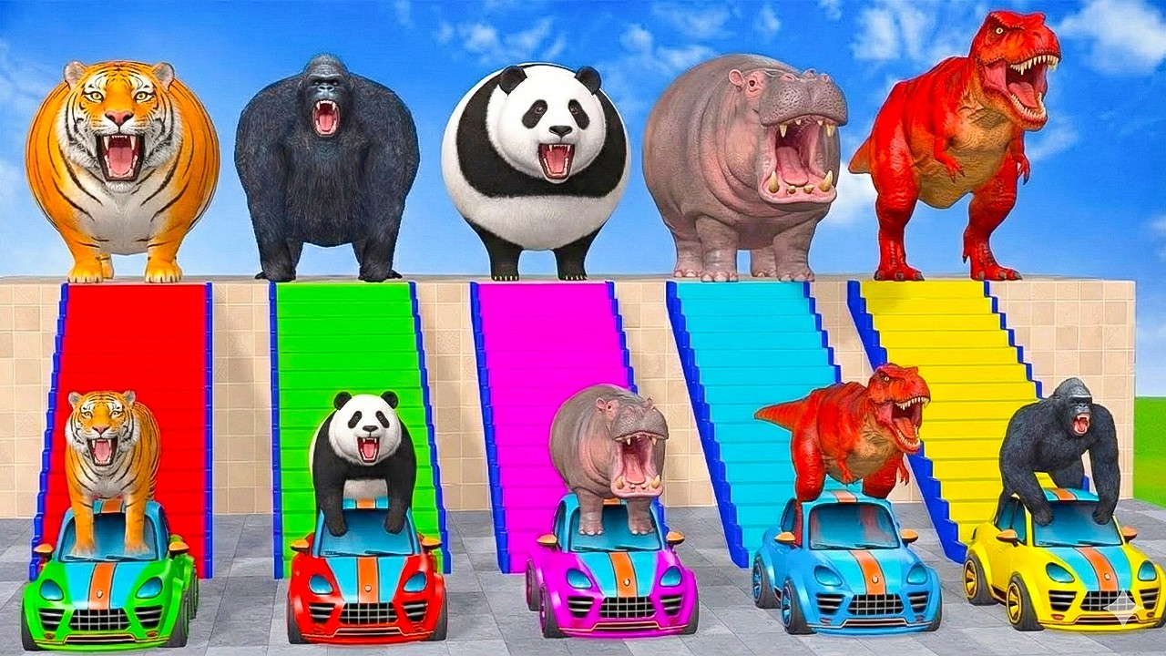 Long Slide Game With Elephant Gorilla Buffalo Hippopotamus Tiger - 3d Animal Game - Funny 3d Animals