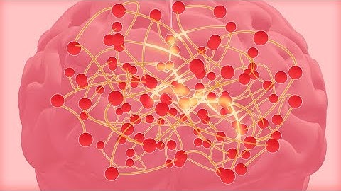 Functional Neurology (animated) video - concussion, dizziness, vertigo, migraine, headache and POTS