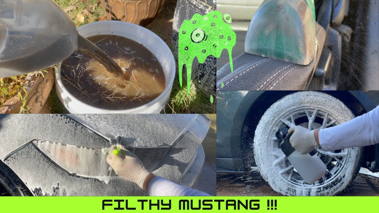 Owner's First Detail!! Filthy Mustang Int/Ext Detail