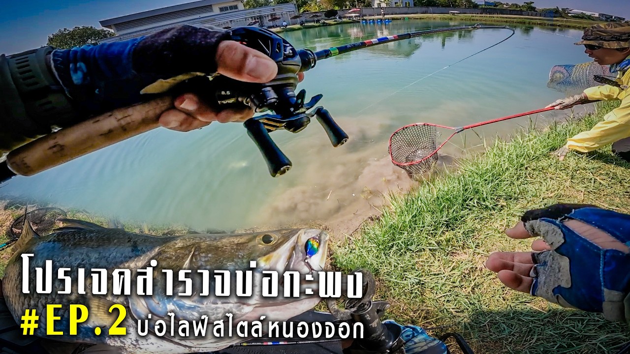 ถ้าไม่ซวยรวยแน่ #บ่อที่2..@บ่อไลฟ์สไตล์หนองจอก..[ สำรวจบ่อกะพง #EP2 ]