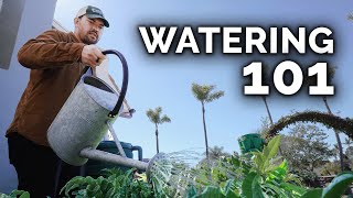 7 Tips to Water Your Garden Perfectly