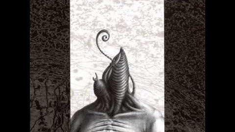 irr. app. (ext.) - Significant Memory In The Grip Of Declension