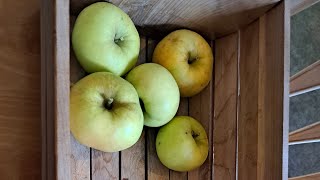 Pristine Apple First Taste Review
