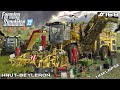 Harvesting sugar beets in rain  mud  animals on hautbeyleron  farming simulator 22  episode 168