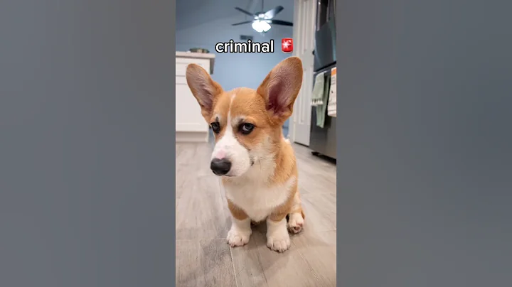 bombastic side eye 😒 #youtube #subscribe