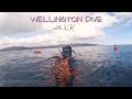 Beautiful south coast freedive for nz kaimoana