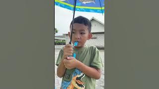 Deo Walking in the Rain 🌧️ #rainyseason