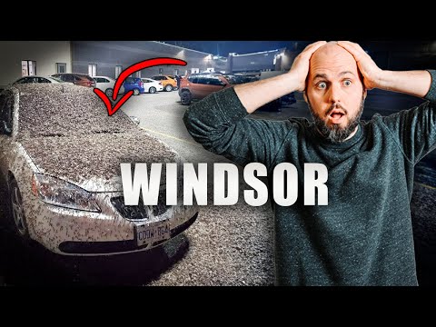 10 Things You NEED To Know Before You Move To Windsor Canada