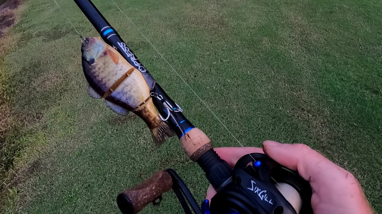 bass fishing the jackall gantarel jr