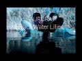AURORA Black Water Lilies Lyrics