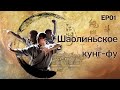 Шаолиньское кунг-фу Серия 1: Забытое искусство