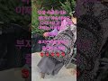 김연순댄스스쿨#지루박 010 5551 0188