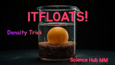 The Floating Egg Trick: Science Of Density Explained! (Saltwater Experiment)