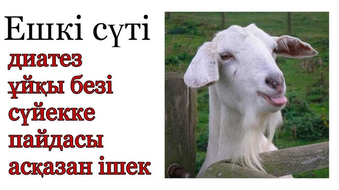 Aletta Ocean порно hd