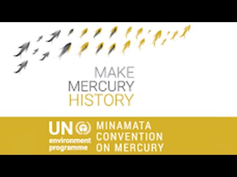 From the Minamata disaster to the Minamata Convention on Mercury