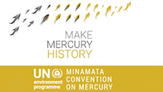 From The Minamata Disaster To The Minamata Convention On Mercury