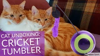 Cat Toy Unboxing: Tumbler Toy with LED lights and cricket sounds by Ginny & Simba The Cats 1,072 views 5 years ago 1 minute, 30 seconds