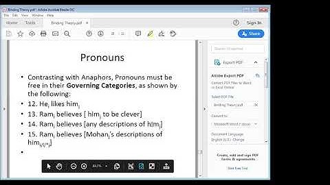 Prof. Srikumar teaches Syntax- Binding Theory 3