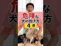 危険な犬の抱き方4選#犬のしつけ #dog #犬のいる暮らし