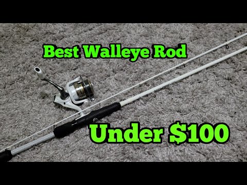 Best Rod For Walleye Fishing Under $100 Quantum Accurist Spinning Rod  Review 