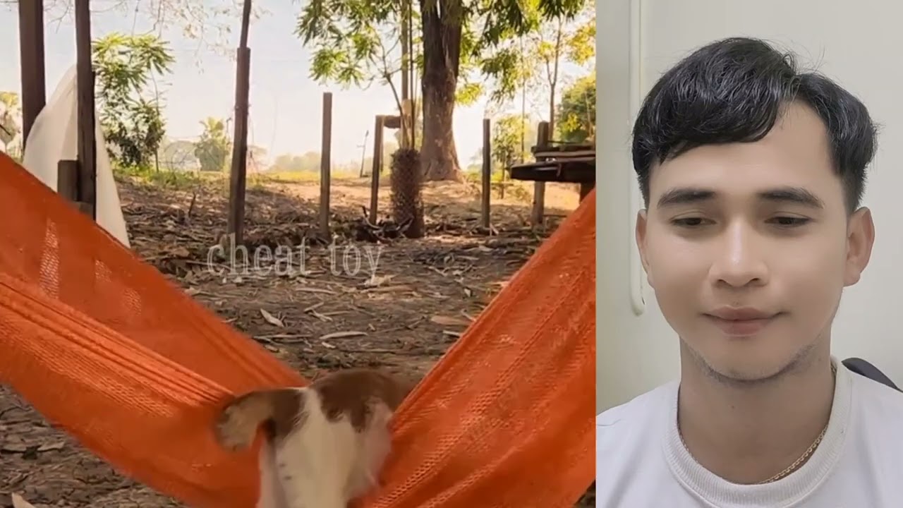 Ep29 គោបើកផ្ទះសំណាក់ដេក😁