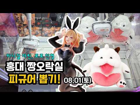 홍대 짱오락실 피규어 뽑기 - 8월 1일 풀영상  #피규어뽑기 #ufo뽑기 #피규어 #clawmachine #인형뽑기 #피규어뽑기공략 #홍대짱오락실 #홍대 썸네일