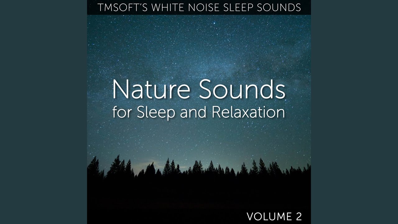 Elk Bugling and Stream