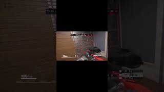 ash new echolocation