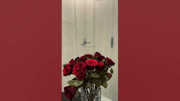 تستاهلي تتحبي بجد 