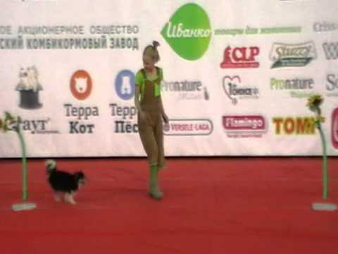 Карина чита каталог