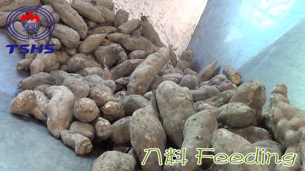 Sweet Potato Frying Line｜地瓜片生產線｜Tsunghsing(TSHS)